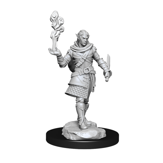 Pallid Elf Rogue and Bard Male