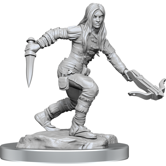 Half-Elf Rogue Female (90485)