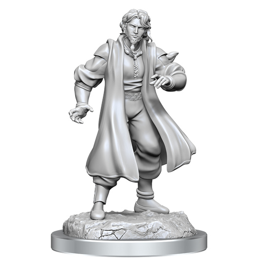 Male Human Sorcerer Merchant & Tiger Demon