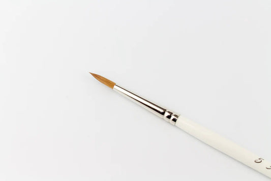 Series S - Size 5 Brush