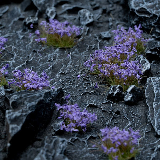 Violet Flowers 