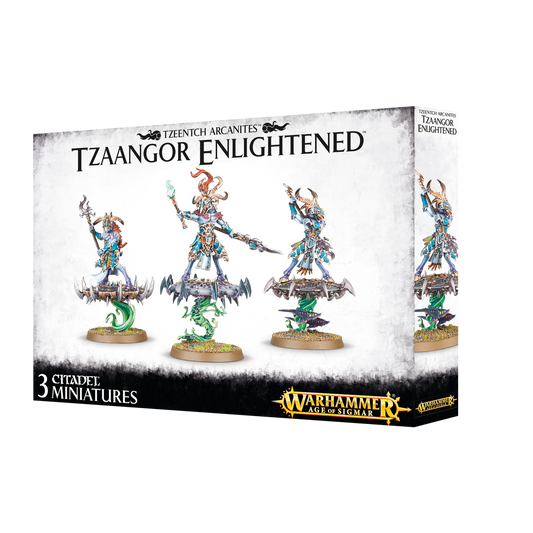 Tzaangor Enlightened / Skyfires