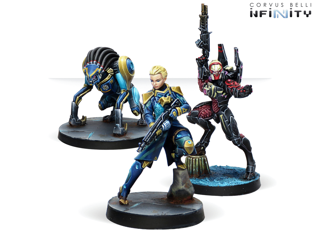 Infinity Clearance – The Combat Company