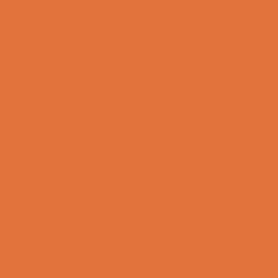 022 Light Orange