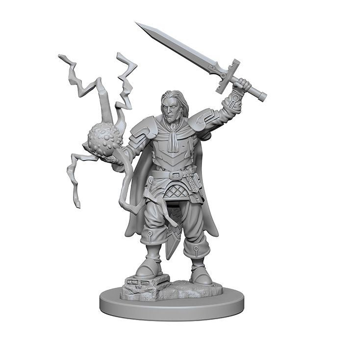 Pathfinder Deep Cuts Unpainted Miniatures Human Male Cleric 5e – The ...