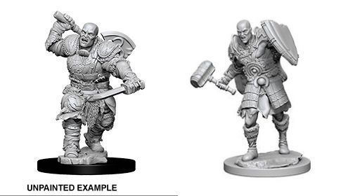 D&D Nolzurs Marvelous Unpainted Miniatures Male Goliath Fighter 5e ...