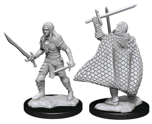 Elf Fighter Male