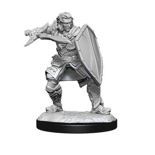 Human Paladin Male