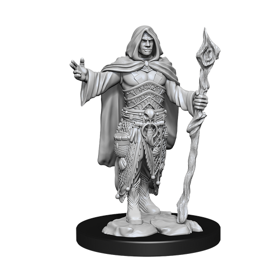 Human Druid Male
