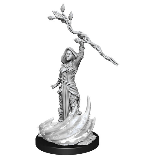 Human Druid Female