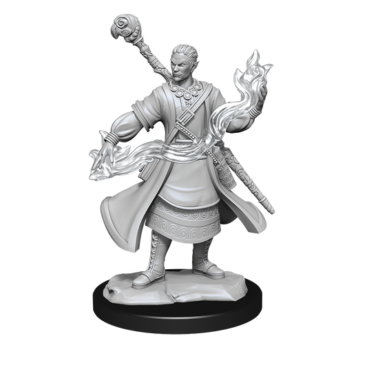 Half-Elf Wizard Male