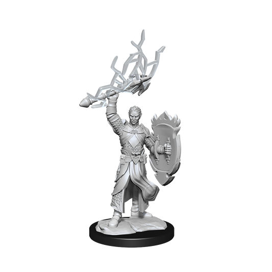Half-Elf Paladin Male