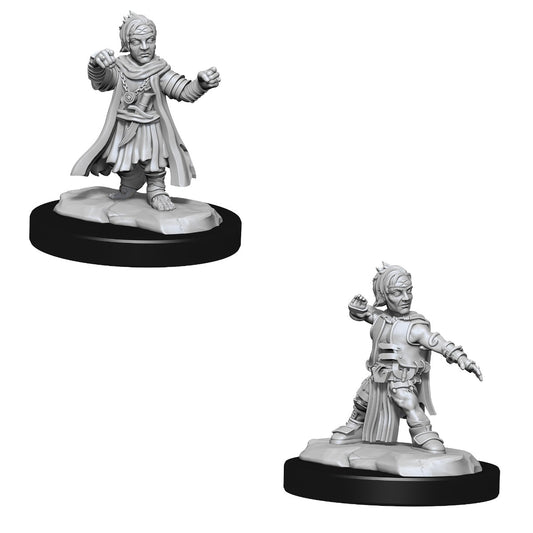 Halfing Monk Male